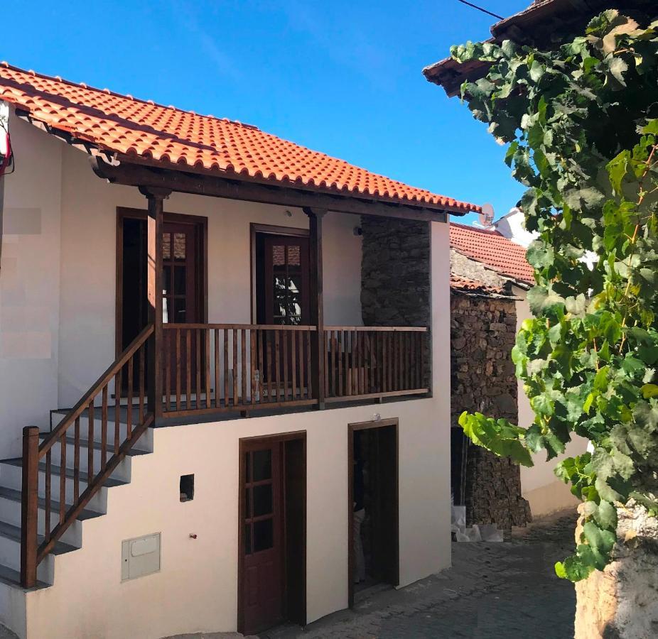 Studio Rural Vilarinho  Exterior photo